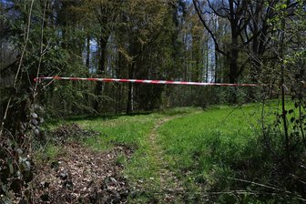 1,4 Millionen Euro für den Schlosspark Wechselburg: Kleinod soll fit für Trockenheit und Hochwasser gemacht werden - Im Schlosspark Wechselburg müssen immer wieder Wege gesperrt werden. Trockenheit und Wasser machen dem Park gleichermaßen zu schaffen.