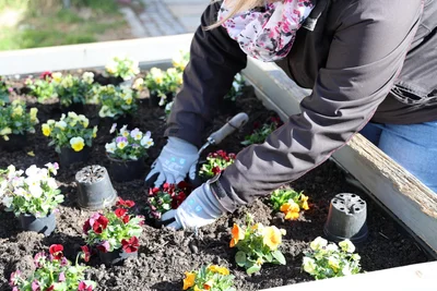 Zahlreiche Blumenkästen wurden in Mittweida bepflanzt.