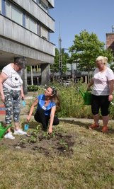Anett Folgner, Ulrike Voigt und Margret Köhler (von links) haben am Karl-Marx-Monument Sonnenblumen gepflanzt. 