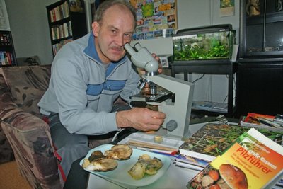 
              <p class="artikelinhalt">Sachverständiger Jörg Oehme aus Flöha beim Mikroskopieren von Pilzsporen. Der Naturfreund ist das ganze Jahr über auf Pirsch und arbeitet außerdem an einem Pilzatlas mit. </p>
            