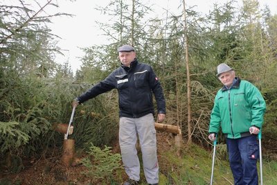 Lutz Bauer (links) und Klaus Bauer zeigen die Fichtenstämme, die nebst Gestrüpp stehen geblieben sind.