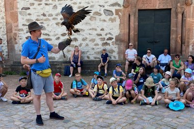 Falkner Leonhard Kindermann stellte den Kindern während der Wallfahrt seinen Wüstenbussard „Winnetou“ vor.