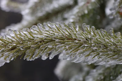 Der Schnee ist zumindest vorübergehend wieder zurück, auch hier im Harz. (Symbolbild)