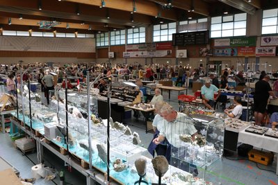 Knapp 80 Händler boten in der Silberlandhalle ihre Mineralien an.