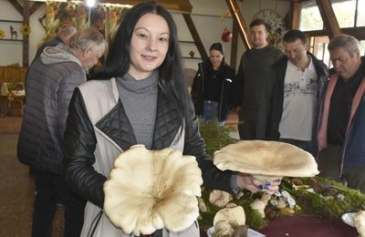 Sandra Gruner gehörte zu den Pilzberatern und -beraterinnen, die den Besuchern in Magwitz Hinweise gaben. Im Bild ist die Falkensteinerin mit Riesenkrempentrichterlingen zu sehen. 