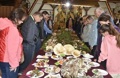 Der Schwammetag in Magwitz lockte am Sonntag viele Besucher an. Sie bekamen rund 150 Pilzarten zu sehen, die zwischen Reichenbach und Bad Brambach gesammelt worden sind. .