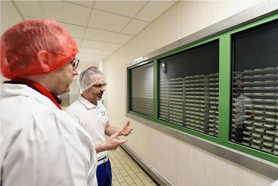 Unmengen an Camemberts reifen in den Kühlräumen der Molkerei. 