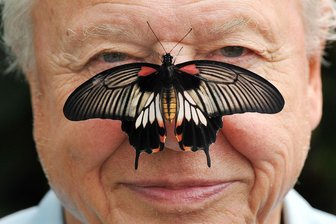 100. Geburtstag: König gratuliert Attenborough mit Tiervideo - Zu seinem 100. Geburtstag erhielt David Attenborough einen persönlichen Brief von König Charles. (Archivfoto)