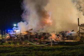 100 Kühe aus brennendem Stall in Schlettau gerettet - 