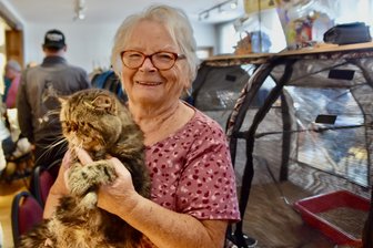 1000 Euro für ein Tier: Einblicke in das Geschäft mit Rassekatzen bei einer Ausstellung in Chemnitz - Die Chemnitzerin Waltraud Weidauer ist Profi in der Katzenzucht. Seit 1986 haben es ihr die Perserkatzen angetan.