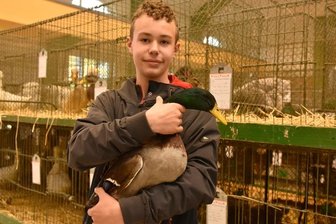 1000 Tiere in Oelsnitz zu sehen - 