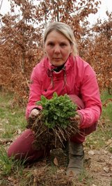 Yvonne Geipel mit dem Jakobskreuzkraut. 