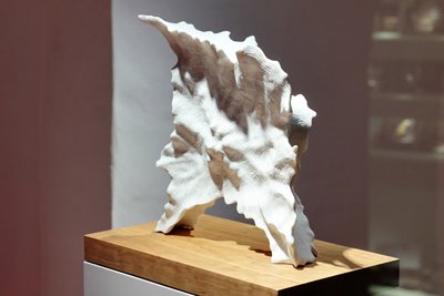 Das von Stefan Böhm eingereichte Werk „Imagination der Form“ erhält den 3. Preis.
