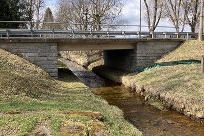 Die Mulde in Hammerbrücke: Hier fließt sie friedlich dahin. Doch Hochwasserereignisse haben in der Vergangenheit immer wieder für Schäden gesorgt.