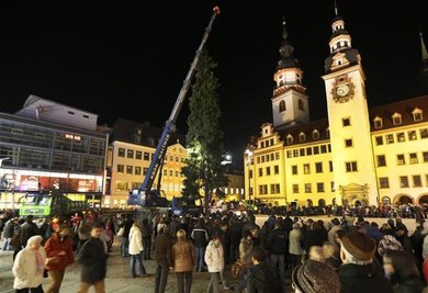 Zahlreiche Schaulustige verfolgten das Aufstellen des Weihnachtsbaumes auf dem Chemnitzer Markt.