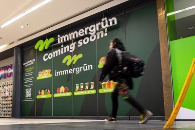 Das „Immergrün“ eröffnet am kommenden Mittwoch in der Galerie Roter Turm.