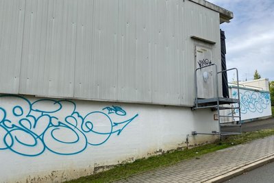 Die Reinigung soll laut Schätzungen rund 1000 Euro kosten.