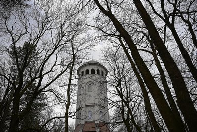 Der Burgstädter Wettinhain mit seinem Taurasteinturm. Bis Freitag sollte er wegen Sturmwarnung gemieden werden. 
