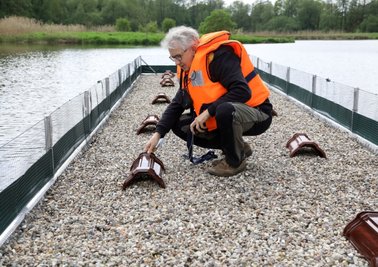 Jens Hering bei der Kontrolle der Brutvogelinsel auf dem Glauchauer Stausee. Die Dachziegel, die als Unterschlupf für Jungvögel dienen sollten, blieben bisher leer. 