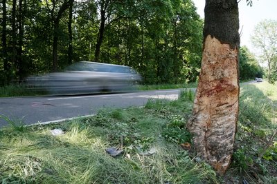 Samstagnacht hat eine Polizeistreife einen Toten in einem Auto gefunden, dass auf der S 233 gegen einen Baum geprallt war.