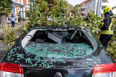 In Rochlitz ist ein großer Ast auf ein Auto gefallen.