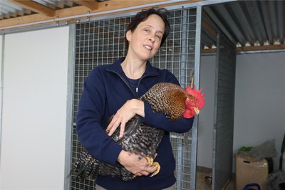 Laut Claudia Ruf, hier mit einem Hahn im Vielauer Tierheim, sollten die Gänse nicht frei in Zwickau herumlaufen.