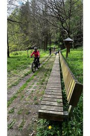 Ein Stück Kolonnenweg, auf dem die Grenzer Streife fuhren – heute Anziehungspunkt für Ausflügler.
