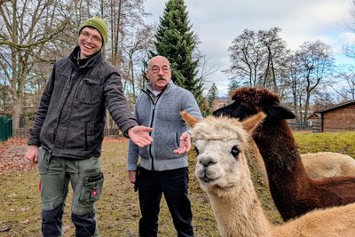 Die Alpakas sind Peter Heinrichs (r.) Herzenswunsch gewesen.