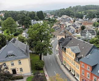 Die 1830 als Gedenkbaum gepflanzte Eiche noch unbeschnitten und in vollem Grün vom Thumer Kirchturm aus fotografiert. 
