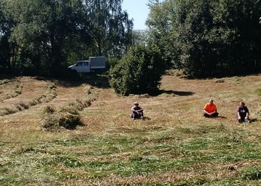 Auch die Kulturlandschaft braucht Pflege. Über die Naturschutzstation kann man mithelfen. 