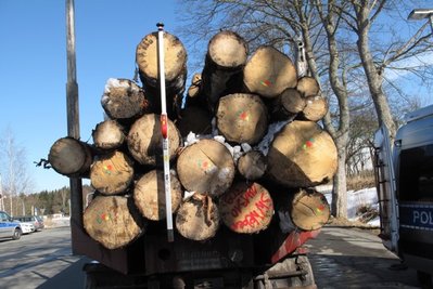 Die Polizei stoppte diesen Holztransporter ...