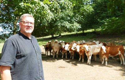 Heiß begehrt sind zurzeit Plätze im Schatten. Kay Weißbach von der Bauernland Agrar AG Großolbersdorf prüft, ob noch genügend Wasser für die Tiere vorhanden ist. 