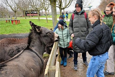 Zum Kindergeburtstag im Park hat eine Familie Station im Wildgehege mit etwa 200 Tieren gemacht. Streicheleinheiten erhielten Esel. 