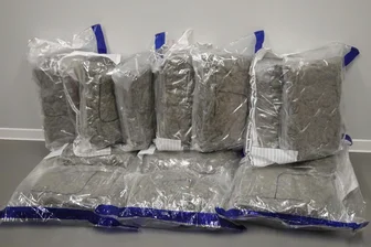 13 Kilogramm Marihuana in Zwickau sichergestellt: Polizei legt mutmaßlichen Dealern das Handwerk - Das sichergestellte Marihuana war in Tüten zu je einem Kilo abgepackt.
