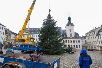 13 Meter hoch und 1,9 Tonnen schwer: So sieht der Weihnachtsbaum auf dem Markt in Glauchau aus - 
