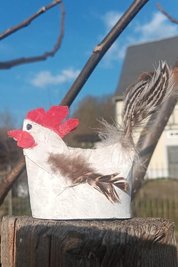 Die Hennen vom Hennenrennen in Hennersdorf 2026.