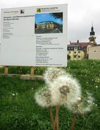 
              <p class="artikelinhalt">Da, wo jetzt die schönsten Pusteblumen am Brühl blühen, soll in wenigen Tagen der Bau eines Pflegeheimes beginnen. </p>
            