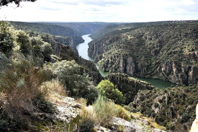 Bis zu 400 Meter tief hat sich der Duero in die Felsen gegraben. Die Schlucht markiert die Grenze zu Portugal, dort heißt er Douro. Wanderwege führen zu besonders schönen Aussichtspunkten (Miradores). Wer die Region Arribes intensiver kennenlernen möchte, sollte eine Bootsfahrt auf dem Grenzfluss unternehmen. Mitarbeiter der biologischen Station Miranda do Douro erklären unterwegs die Besonderheiten des Naturparks: Flussotter und Königsadler, Nistplätze von Schwarzstörchen und hundertjährige Steineichen. Und unter dem Mikroskop die Babys eines Wasserflohs.
