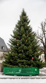 Der Weihnachtsbaum auf dem Marienberger Markt wurde zum Sieger gekürt. 
