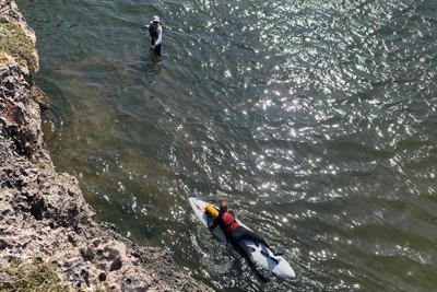 In einer Bucht wurde die Tierrettung per Surfbrett trainiert.