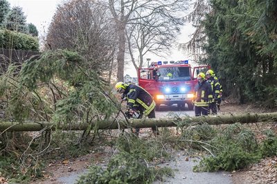 Im Erzgebirge waren zahlreiche Feuerwehren wegen umgestürzter Bäume im Einsatz.