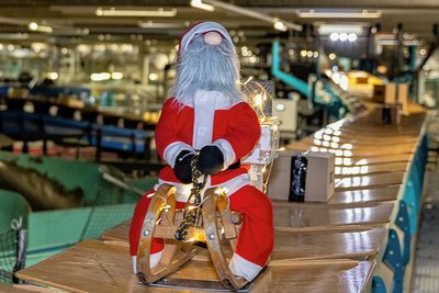 Sorgt für Weihnachtsstimmung auf knapp zwei Kilometern Fließband. Der Neumarker Weihnachtsmann und sein mit Paketen beladener Schlitten haben sich zum Vorbild auch für andere Paketzentren gemausert. 