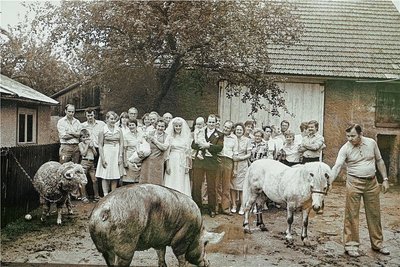 Ein Hochzeitsgruppenbild von Gerhard Weber aus dem Jahr 1984. 