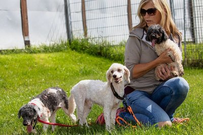 Insgesamt 15 Tiere wurden vorigen Freitag ins Tierheim Kandelhof gebracht. Sieben Hunde konnten nur noch tot aus der Wohnung im oberen Vogtland geborgen werden. Im Foto: Tierheim-Ehrenamtlerin Kerstin Gotte.