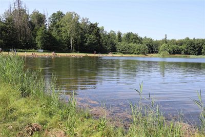 Auch der Stadtwald mit seinem „Großen Teich“ soll Teil der Laga 2029 sein.