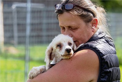 Streicheleinheiten nach schwierigen Tagen: Tierheim-Chefin Eva Hoyer mit einem der Pudel.