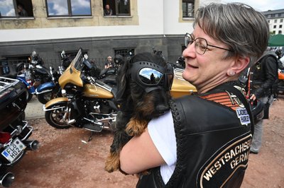Katrin Reiser nimmt Hund Janosch immer mit. Er protestiert sonst.