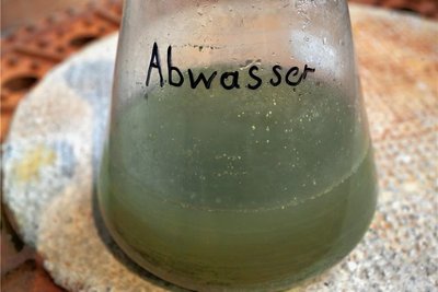 In Erlbach klagen Bürger über Geruchsbelästigung durch Abwasser.