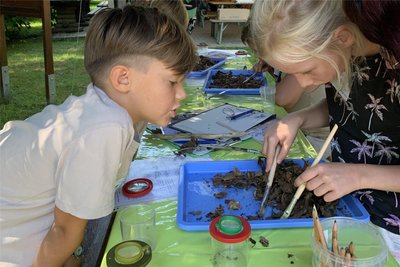 Lukas und Leike Milene suchten in der Bodenschicht nach Tieren wie Steinkriechern und Asseln.