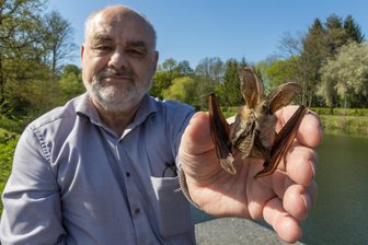 14 bedrohte Fledermausarten festgestellt: Durchkreuzen die fliegenden Säugetiere jetzt Windradpläne im Vogtland? - Tobias Pohl - hier bei einer Fledermauswanderung in Rodewisch - hat die fliegenden Säugetiere auch bei Neustadt festgestellt.
